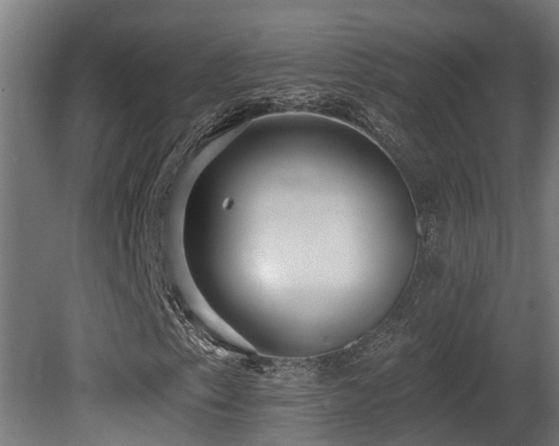 X0000081281153200701111325