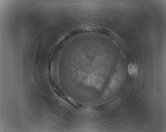 X0000081281155200701111325