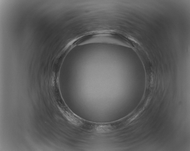 X0000081281161200701111325