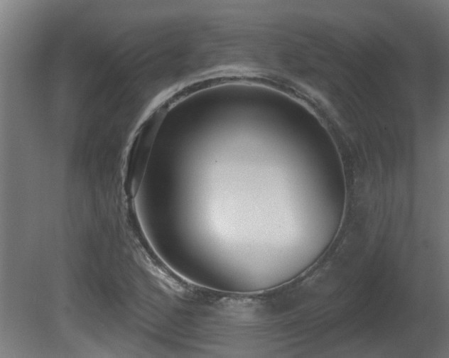 X0000081281168200701111324