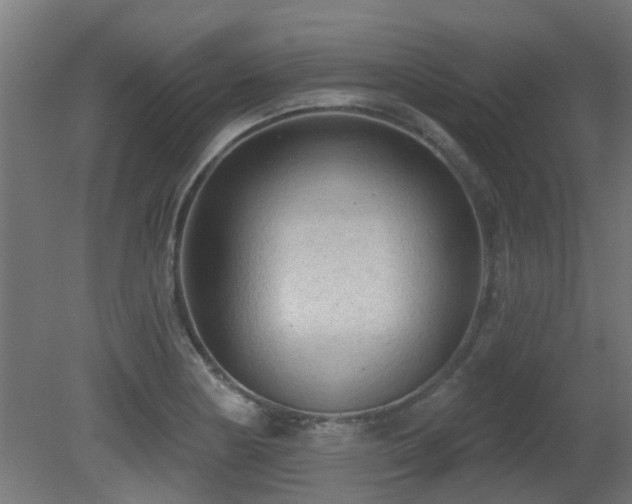 X0000081281178200701111324