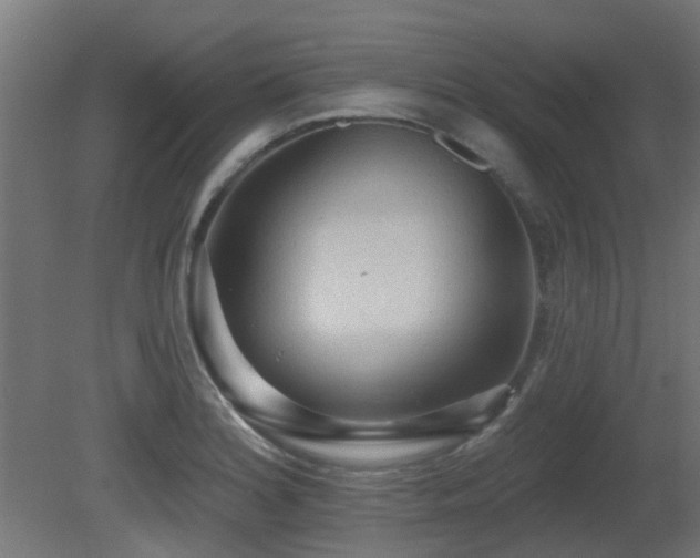 X0000081281180200701111324