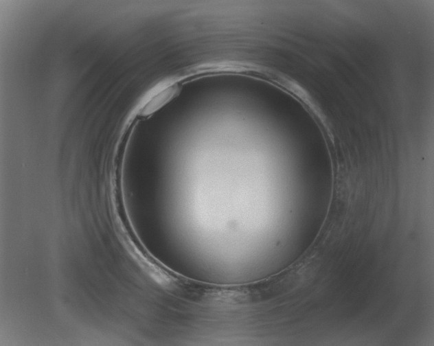 X0000081281187200701111324