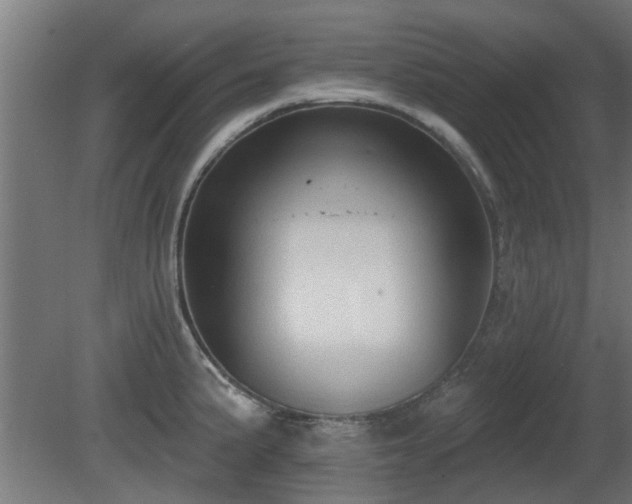 X0000081281191200701111324