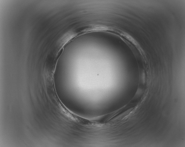 X0000081281193200701111324