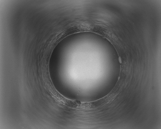 X0000081281201200701111323