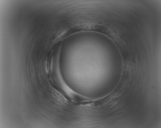 X0000081281202200701111323
