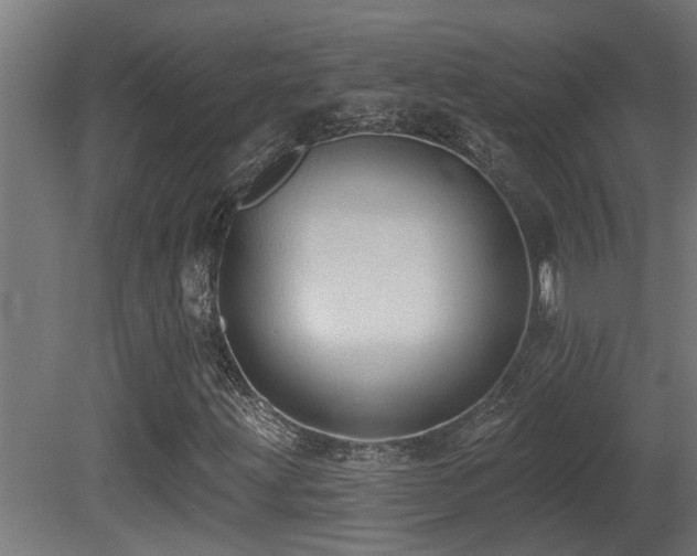 X0000081281203200701111323
