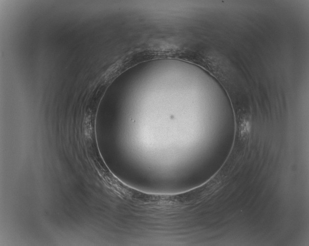 X0000081281204200701111323