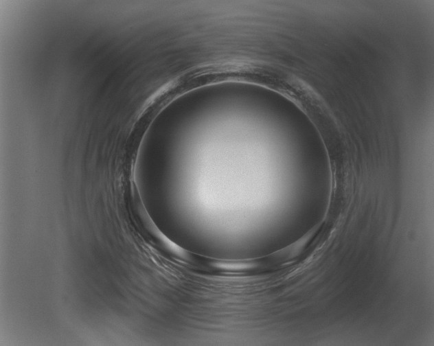 X0000081281210200701111323