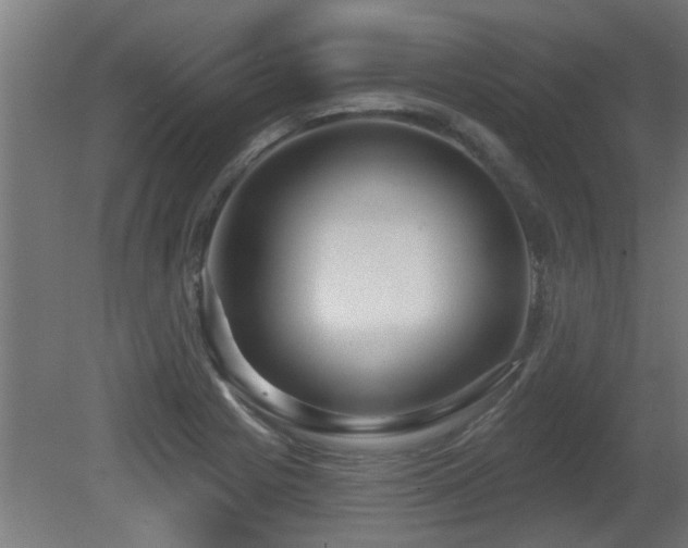 X0000081281225200701111323