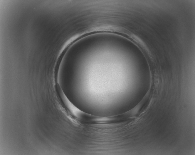 X0000081281230200701111324