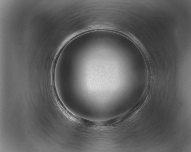 X0000081281246200701111324