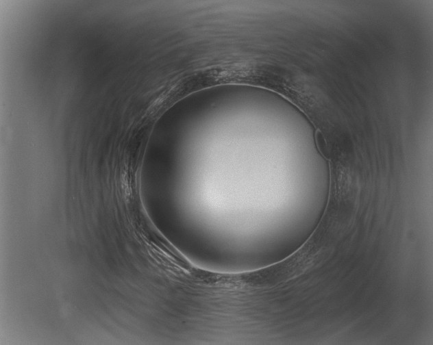 X0000081281250200701111323