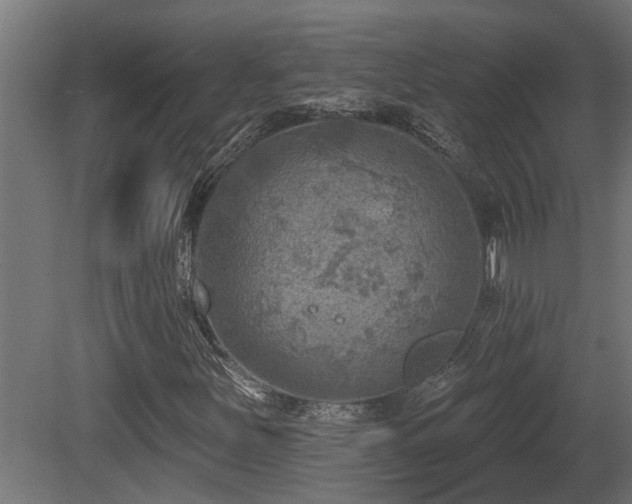 X0000081281251200701111323