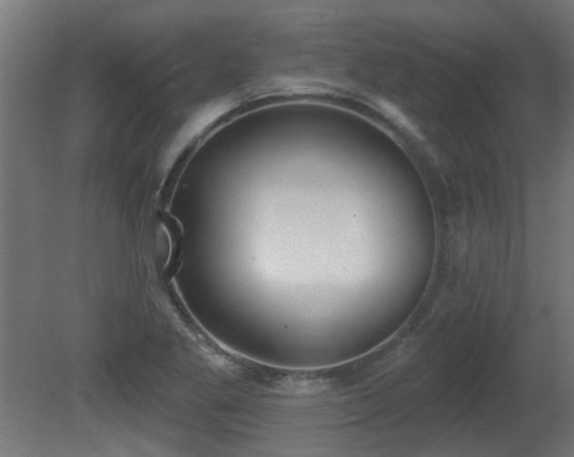 X0000081281269200701111323