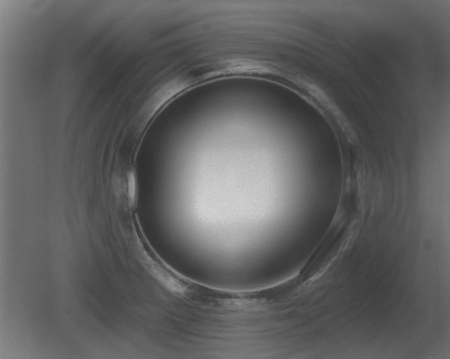 X0000081281281200701111323