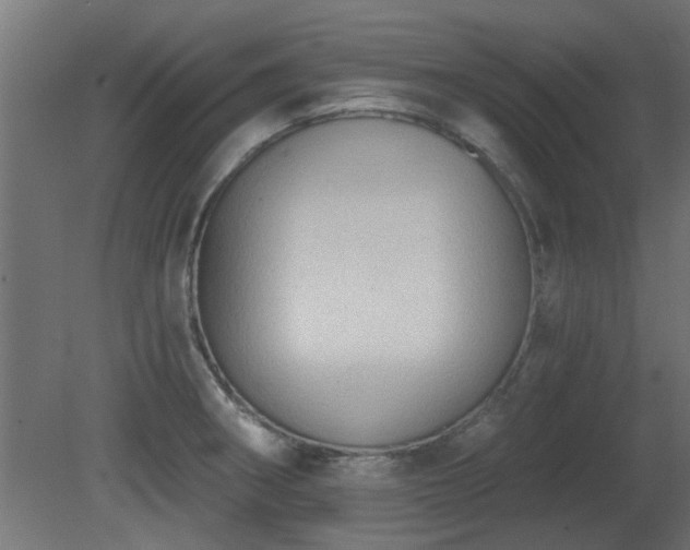 X0000081281282200701111322
