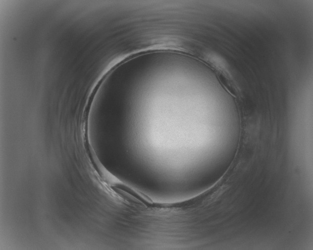 X0000081281284200701111322