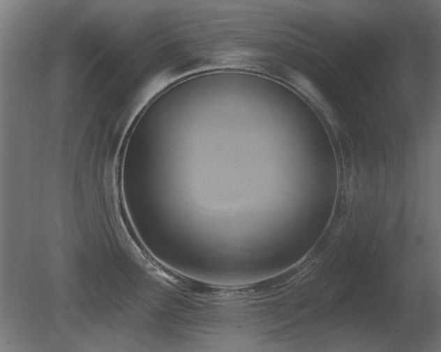 X0000081281291200701111322