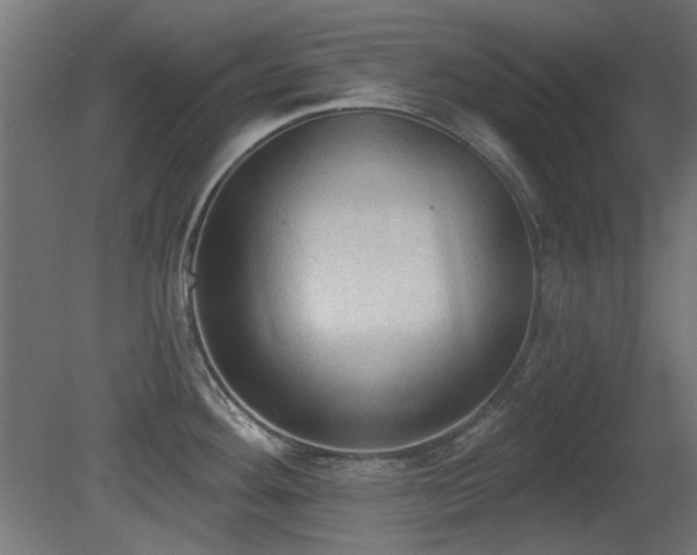 X0000081281292200701111322