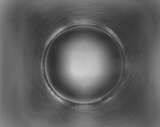 X0000081281293200701111322