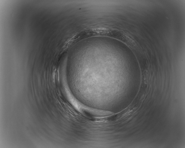 X0000081281298200701111321
