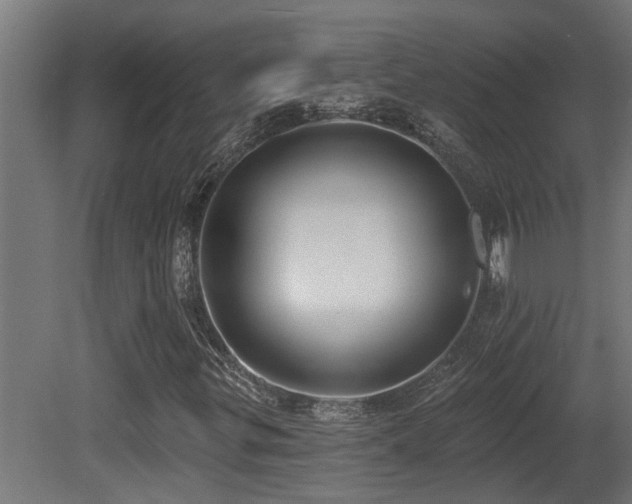 X0000081281299200701111321