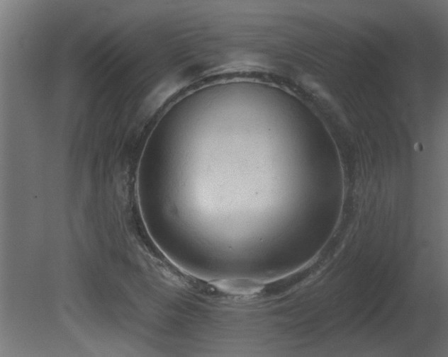 X0000081281313200701111322