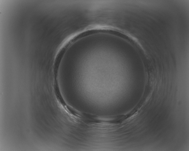X0000081281319200701111322