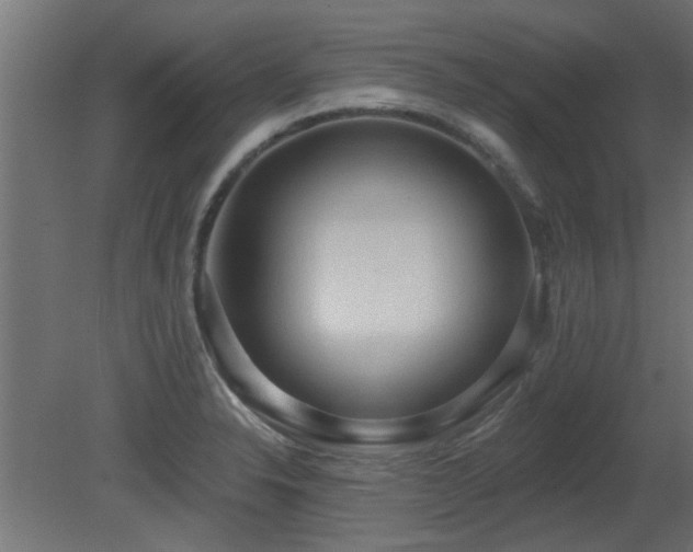 X0000081281326200701111322
