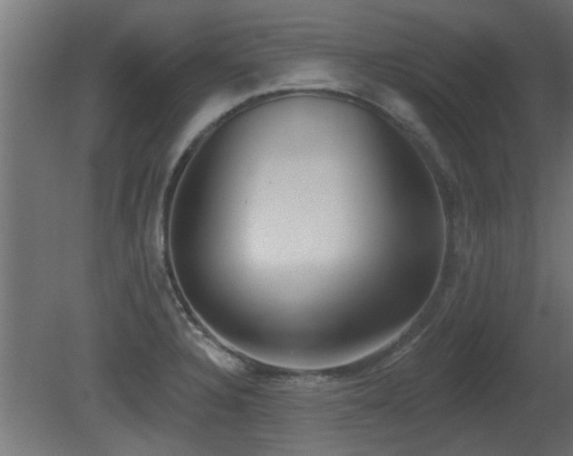 X0000081281328200701111322
