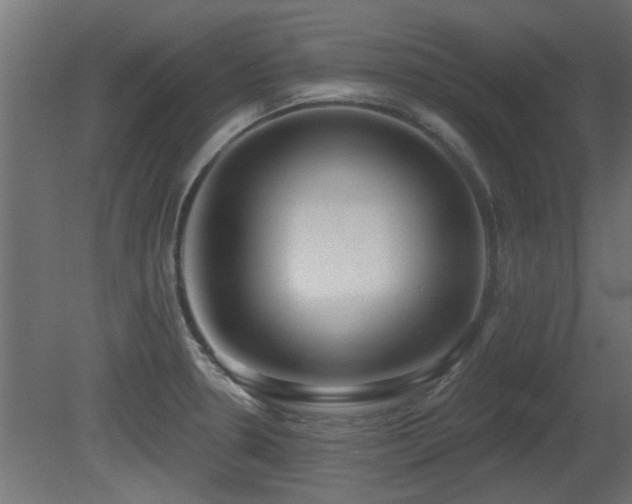 X0000081281330200701111322