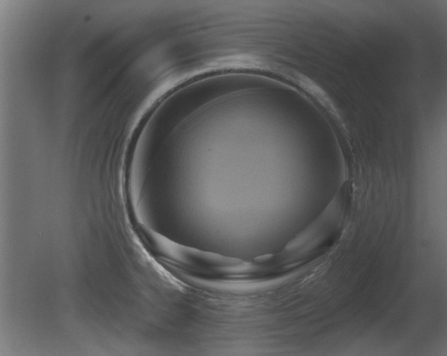 X0000081281334200701111322