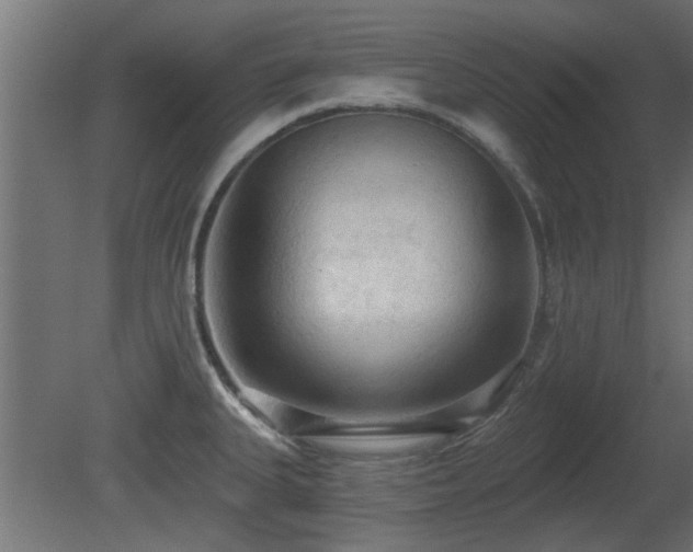 X0000081281335200701111322