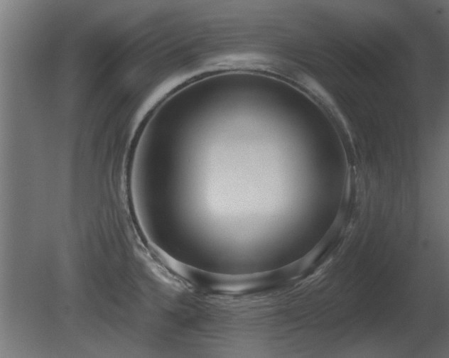 X0000081281336200701111322