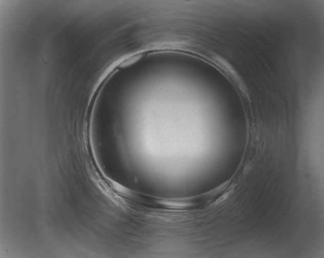 X0000081281340200701111322