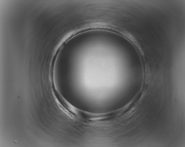 X0000081281342200701111322