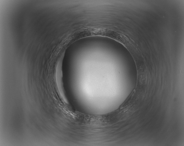 X0000081281345200701111321