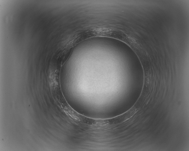X0000081281346200701111321