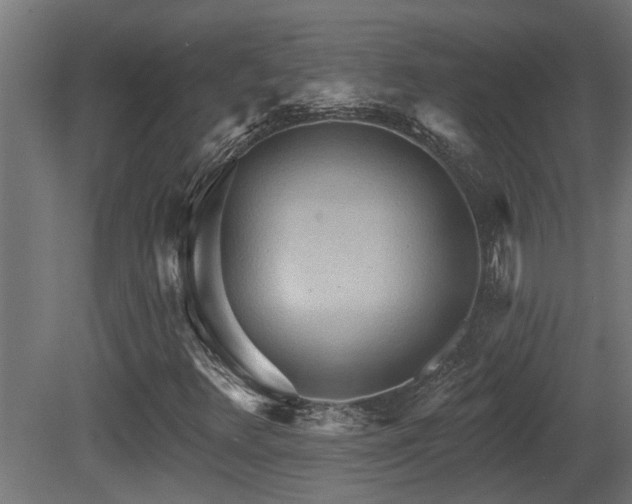 X0000081281348200701111321