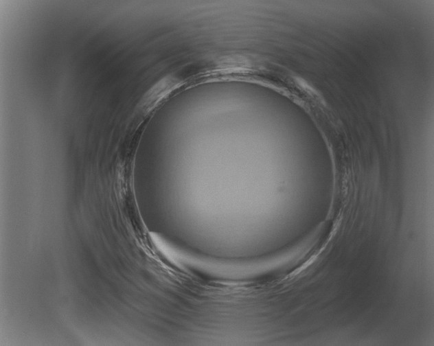 X0000081281353200701111321