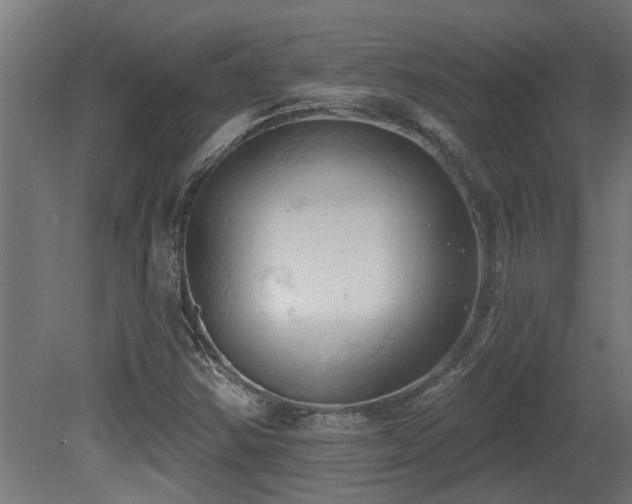 X0000081281354200701111321