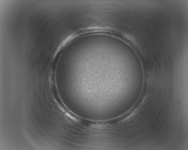 X0000081281357200701111321