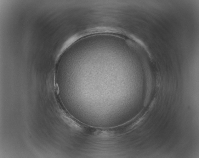X0000081281365200701111321