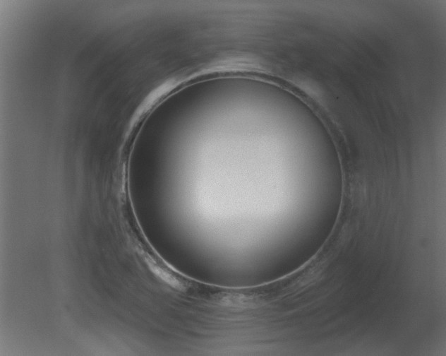 X0000081281366200701111321