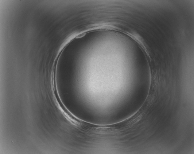X0000081281391200701111321