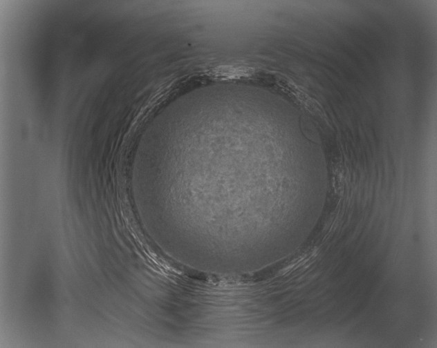 X0000081281393200701111320