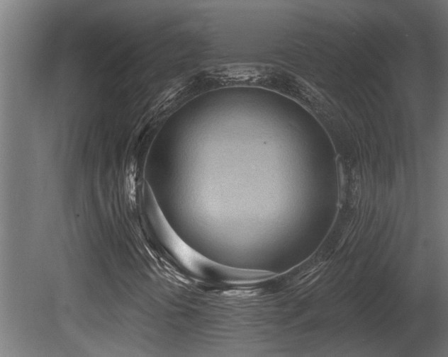 X0000081281394200701111320