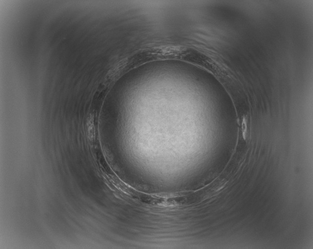 X0000081281395200701111320